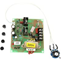 DC 220V 750W Motor Eléctrico con Controlador de Velocidad Variable